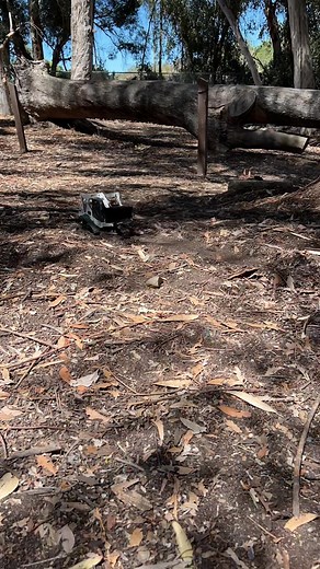 RC Skidsteer Bobcat SM770 — RC Skidsteer Activities