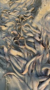 279K views · 1.3K reactions | "Extraordinary Techniques for Catching Sing Fish" | স্বপ্নবাজ - Dreamer | Facebook