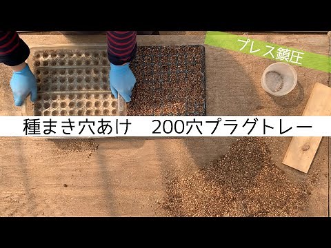 【農業のすすめ】育苗種まき穴あけ_200穴プラグトレー seeding pot