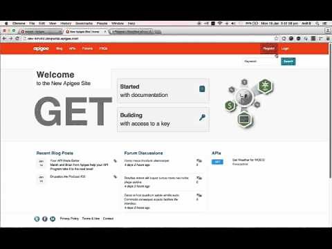 Apigee Developer Portal Demo