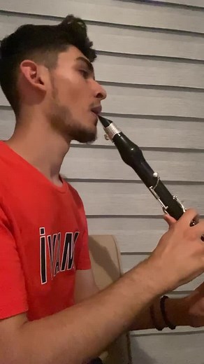 Mastering the Clarinet: Tips for Aspiring Musicians