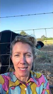 Hippocampus facts for kids