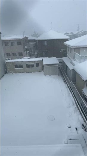 ライブ 234ハイライト