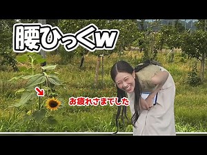 【戸北美月】数年前のありゃしたひまわりよりも更にがっつりありゃしたするお天気お姉さん