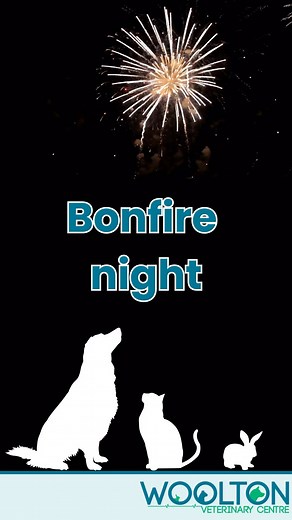 4 comments | Top tips on how to keep your fur babies calm during the firework season!  - #fireworks #petfireworkanxiety #fireworksafety #pets #animals #dog #cats #vets #veterinary #independentvets #woolton #wooltonvillage #wooltonveterinarycentre #liverpoolvets #vetadvice #vetinarian #vetlife | Woolton Veterinary Centre | Facebook