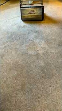 Nasty carpet clean #oxifresh #vlm #encapsulation