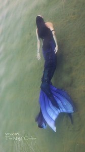 Which mermaid tail is your favorite? These are different mermaid tails from a few different tailmakers. Which one is your favorite? Tail 1: Fairyland Echo (discount code PHANTOM) Tail 2: Nereid Studios (discount code PHANTOM10) Tail 3: Moonsong Magic (discount code PHANTOM15) Tail 4: Nereid Studios Tail 5: Fin Fun (discount code MAGIC10) *these discount codes are affiliate codes, so I may earn a commission if you order using these discount codes (minus the Fin Fun code). Thanks for watching! #th