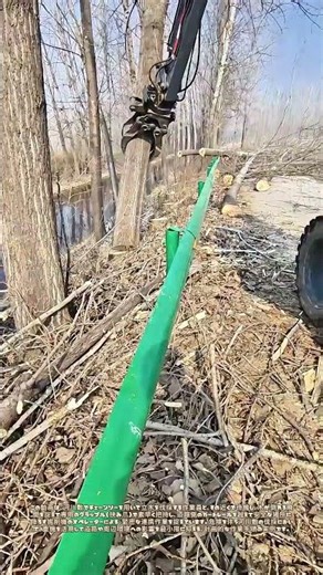 倒れる瞬間を制す：電鋸と掘削機が織りなす伐採の連携