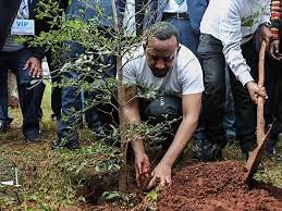 An Installation Support File Could Not Be Installed