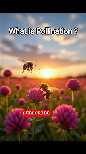 POLLINATION || POLLINATION IN FLOWERING PLANT || #facts #toon #pollination #neet #biology #ncert