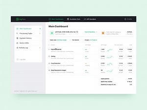 API Management Platform