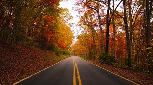 2025 Fall Color Schedule for Virginia's Blue Ridge