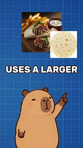 taco and burrito, what is different?