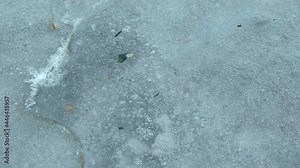 First spring thaw in ice, rotten ice, dangerous ice blowing. Earth watching, marks of beginning of winter, natural history. High quality Full HD footage Stock Video