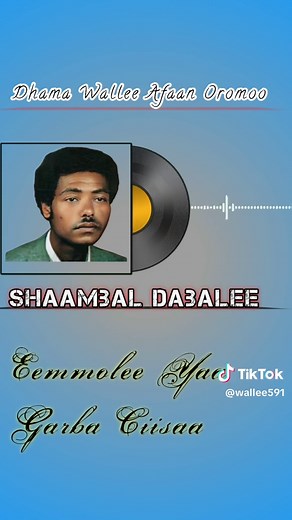 Sirboota Durii Afaan Oromoo | Dhama Wallee