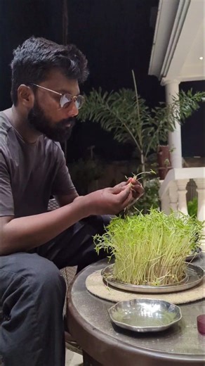 Ravi Shankar | Nature's Roots | Best way to grow microgreens #gardening #planting #plants #homegardening #garden #terracegardening #lovegardening | Instagram