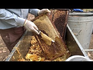 Uncapping Honey Frames 🍯 | Preparing for Honey Extraction Step-by-Step