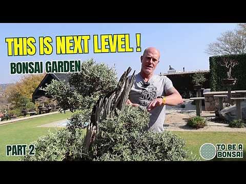 Bonsai Garden Tour Part 2 — Even Better Than Part 1!