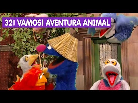 Vila Sésamo - Série: 321 Vamos! | EPISÓDIO 49