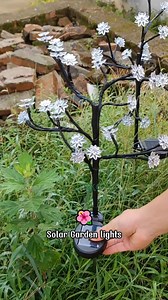 10K views · 110 reactions | Solar Garden Lights Outdoor A perfect gift for friends who love lights — Solar Garden Lights Outdoor for your garden | SRK | Facebook