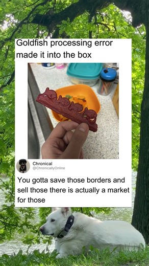 Goldfish processing error made it into the box