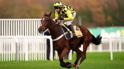 Timeform ratings analysis | Temps impresses in Tingle Creek