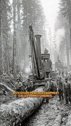 Logging Camps – The Lumber Camps That Built American Towns