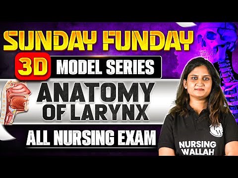 Anatomy of Larynx | All Nursing Exam | Sunday Funday 3D Model Series