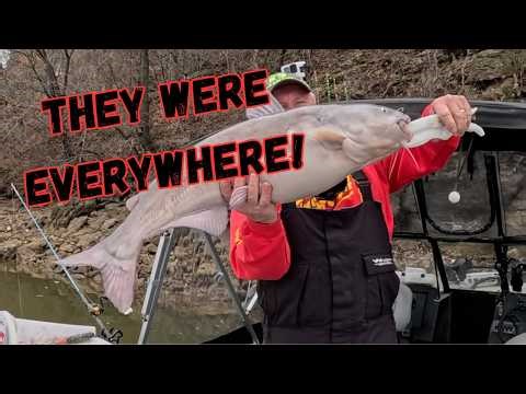 A Catfish At EVERY Stop!