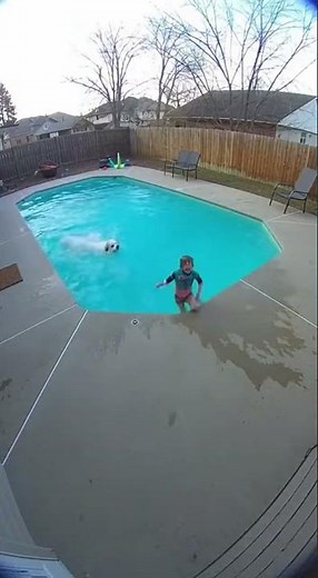 Pyrenean Mountain Dog: Guardian of Children