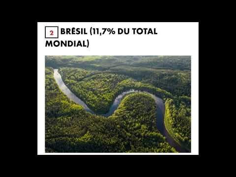 les cinq plus grandes forêts du monde