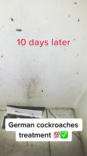 TUFANPESTCONTROL on TikTok