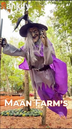 Top 5 Places In Abbotsford, BC, Canada