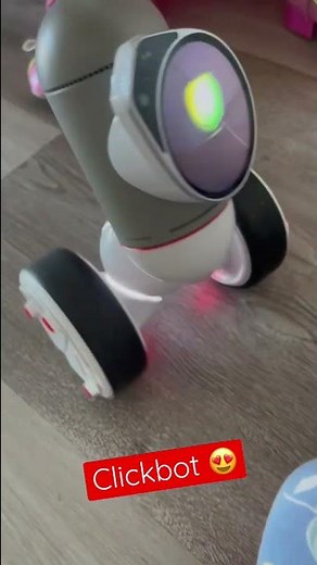 How to Play with a Click Bot 1000 Robot!