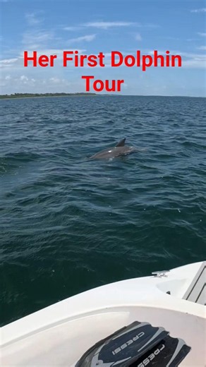 Shell and and dolphin tours in Panama City Beach. Flippin Awesome Adventures