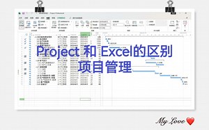 Project和Excel的区别，项目管理软件