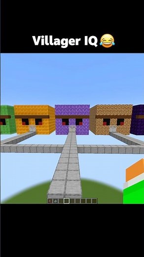 Minecraft villager IQ Test 😱