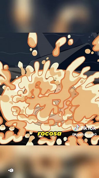 Discover the Unique World of Wolf Eels