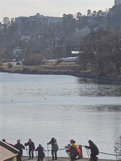 JBL på max med farfars spellista 🎧 #orten