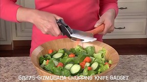 3.1K shares · 249 comments | MUST HAVE Kitchen Gadget for everyone! Chops Vegetables, Fruits, Salads, and even Meat. Includes replacement warranty. COD available! Rs.699 ONLY! CLICK HERE to Know More and to BUY:---> https://goo.gl/CNbI1L Tag a friend who would want this! | Gizmobaba | Facebook