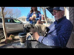 A Charming Stroll Through Historic Downtown Cleveland, TN! 🚶‍♂️🏡