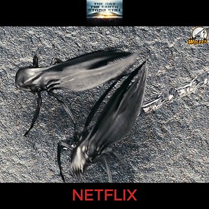 Top movie Netflix 2025 | The Black Hole