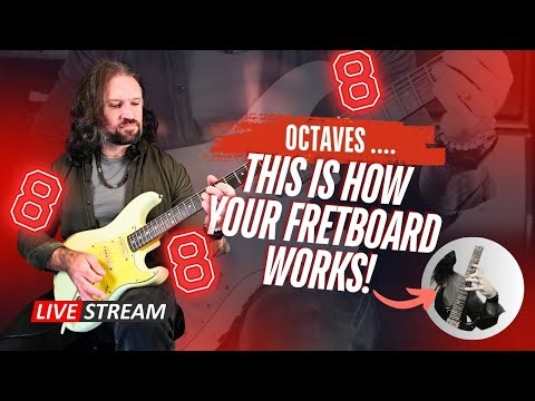 THIS is how your fretboard WORKS!!