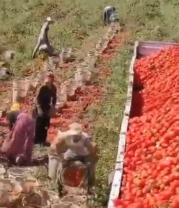 Momentum with a Twist | ProblemChild From Ten83