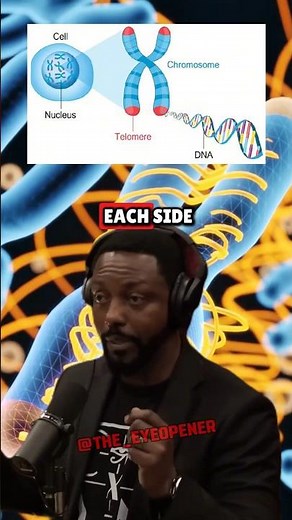 Did Genetic Modification Create Humans 200,000 Years Ago? Billy Carson on Joe Rogan"