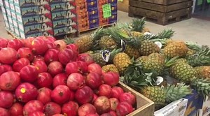 4.5K views | Freestone Produce Inc. on Reels | Facebook