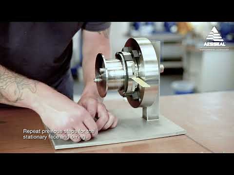 AESSEAL® RDSX Installation Instructions