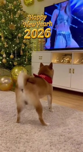 Happy new year 🎊 2026! #dog #dancer #doglover #happynewyear#funny | dancing dog