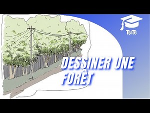 Comment dessiner une forêt (plusieurs arbres) facilement