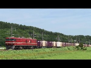 【津軽線】を行く≪ＥＨ８００・ＥＨ５００≫貨物列車